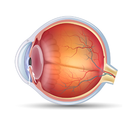 Glaucoma - Conoce más
